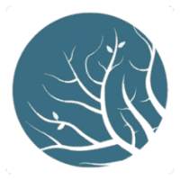 Lumion Pro