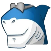 Advanced Codecs