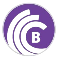 BitTorrent Pro