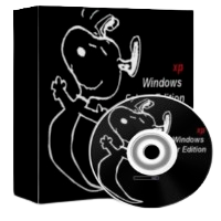Windows XP Falcor