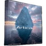 Windows 11 Pro Artica Lite